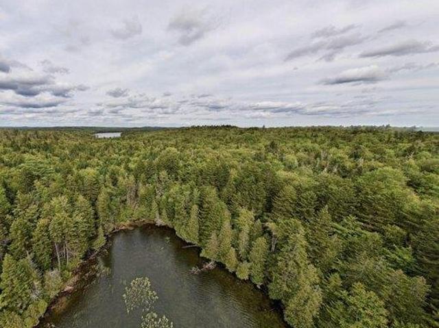 Land for sale in Whiting, Maine