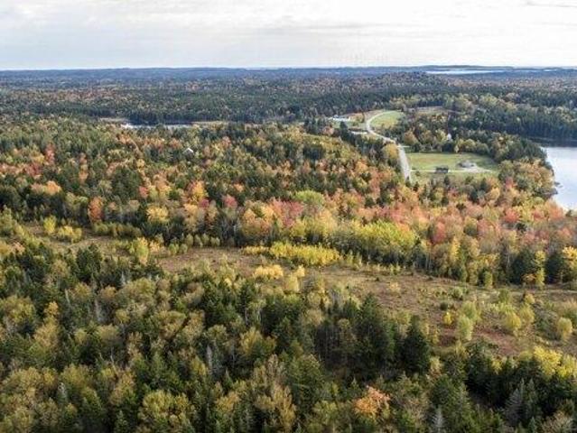 Land for sale in Whiting, Maine