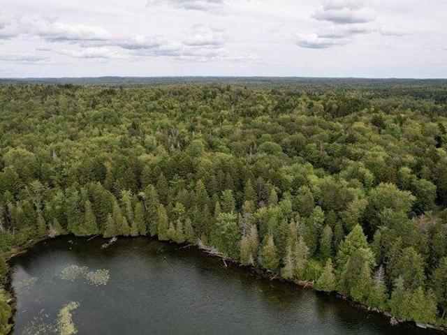 Land for sale in Whiting, Maine
