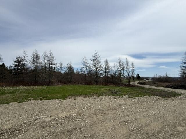 Land for sale in Whiting, Maine
