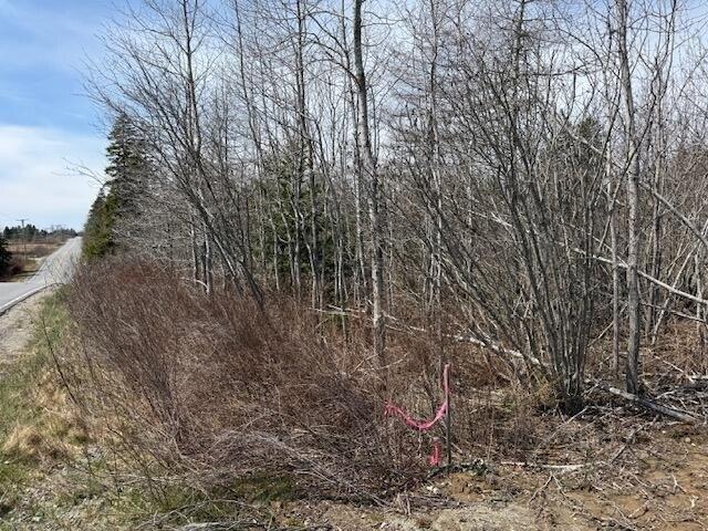 Land for sale in Whiting, Maine