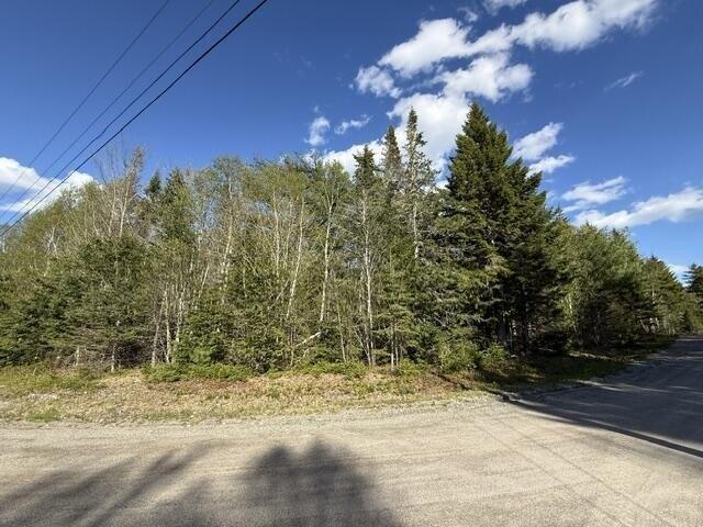 Land for sale in Whiting, Maine