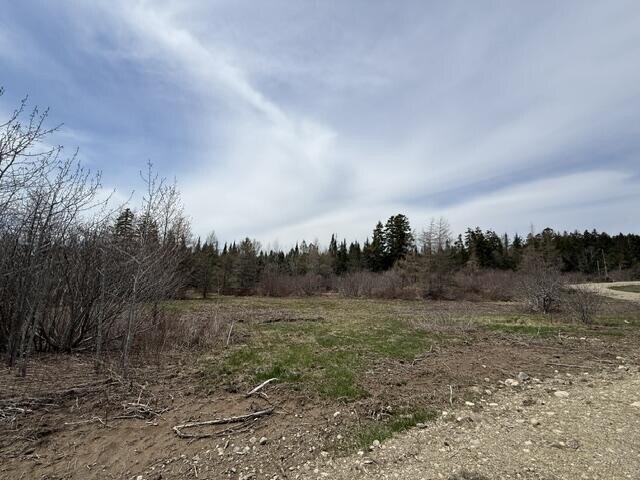 Land for sale in Whiting, Maine