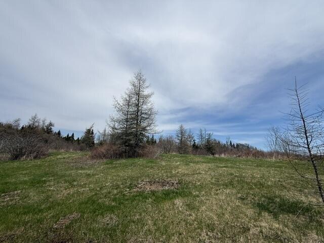 Land for sale in Whiting, Maine