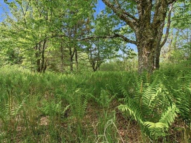 Land for sale in Whiting, Maine