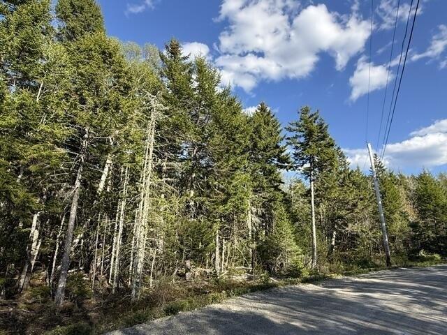 Land for sale in Whiting, Maine
