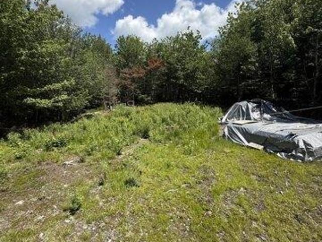 Land for sale in Whiting, Maine