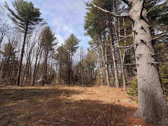 Land for sale in Whitingham, Vermont