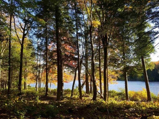 Land for sale in Whitingham, Vermont