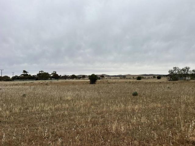 Land for sale in Goyder, South Australia