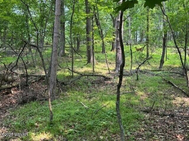 Land for sale in Williamsport