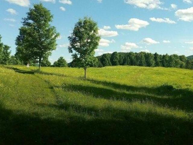Land for sale in Williamstown, Vermont