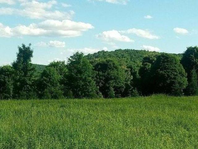 Land for sale in Williamstown, Vermont