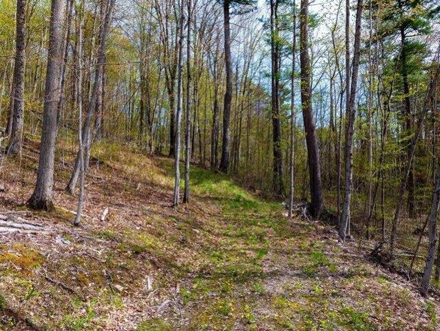 Land for sale in Williston, Vermont