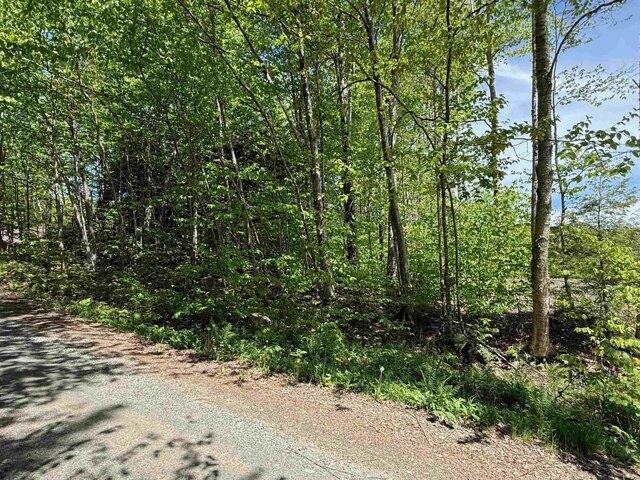 Land for sale in Wilmington, Vermont