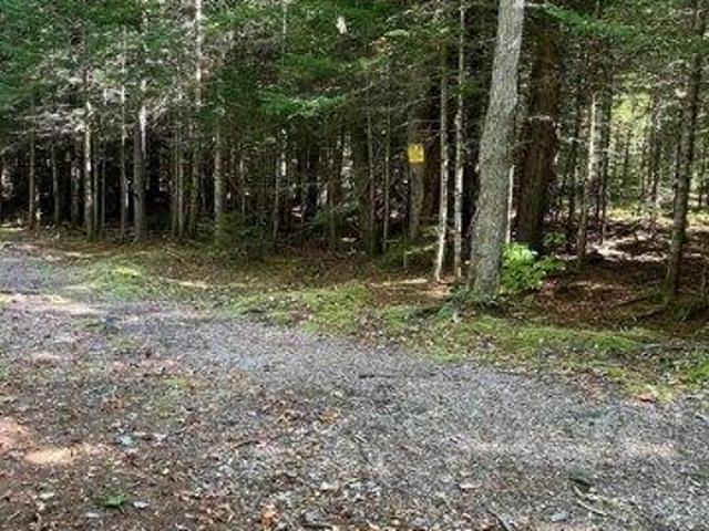 Land for sale in Wilmington, Vermont