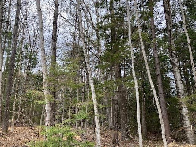 Land for sale in Wilmington, Vermont