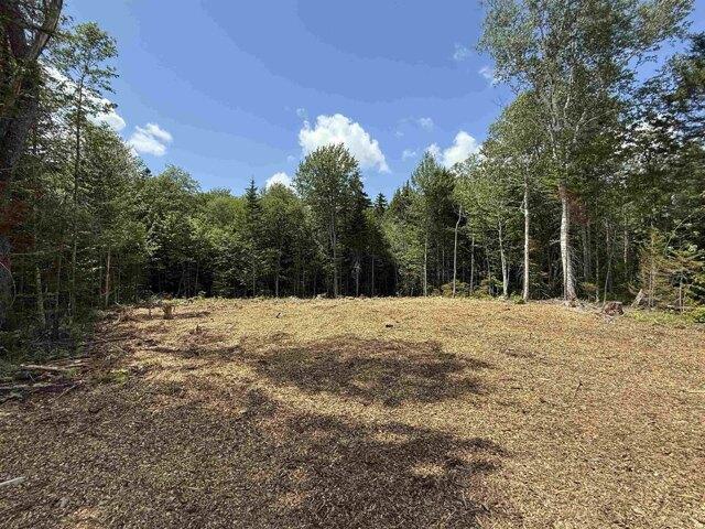Land for sale in Wilmington, Vermont
