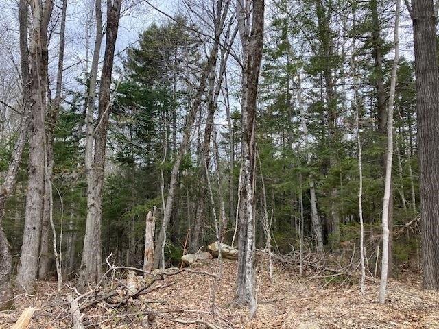 Land for sale in Wilmington, Vermont
