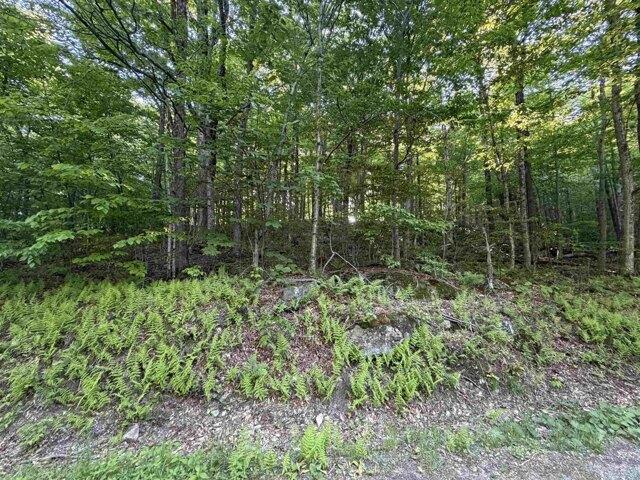 Land for sale in Wilmington, Windham County