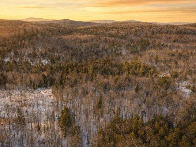 Land for sale in New Hampshire