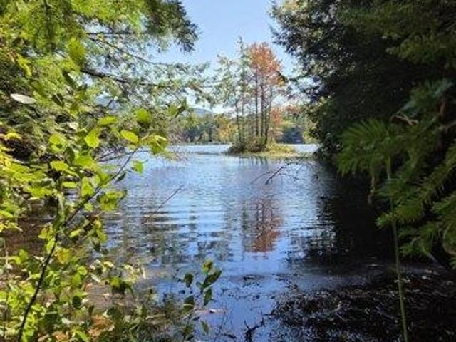 Land for sale in Wilmot, Merrimack County