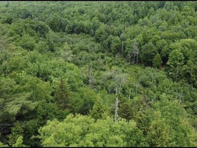 Land for sale in Wilton, Maine