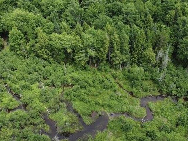 Land for sale in Wilton, Maine