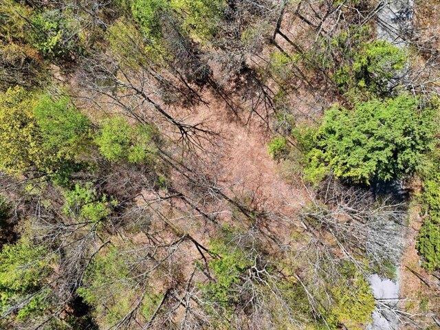 Land for sale in New Hampshire