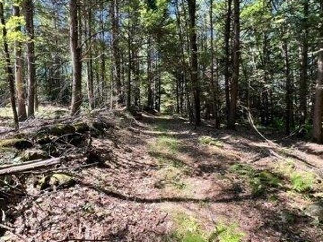 Land for sale in Winchendon, Massachusetts