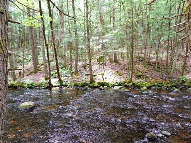 Land for sale in New Hampshire