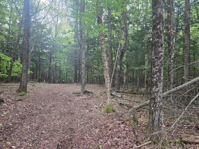 Land for sale in Windham, Maine