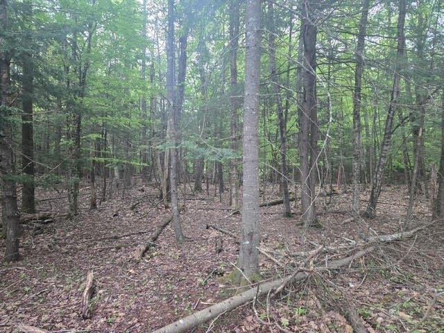 Land for sale in Windham, Maine