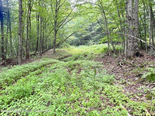 Land for sale in Ashland, New York