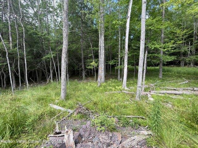 Land for sale in Ashland, New York