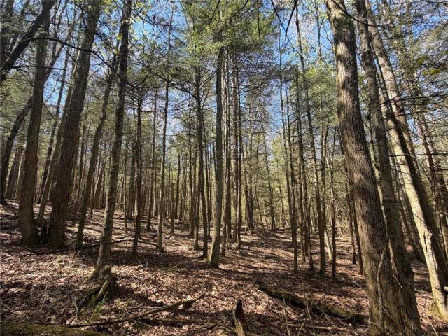 Land for sale in Bainbridge, New York