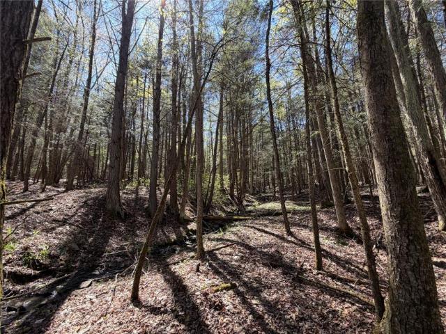 Land for sale in Bainbridge, New York