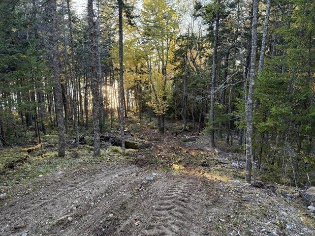 Land for sale in Winter Harbor, Maine