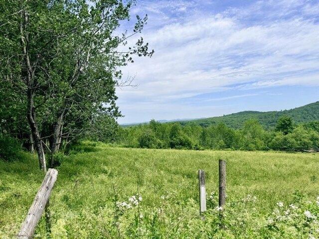 Land for sale in Waldo, Maine
