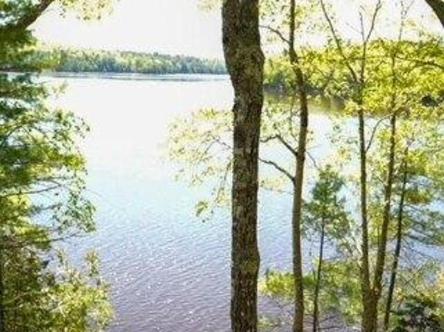 Land for sale in Waldo, Maine