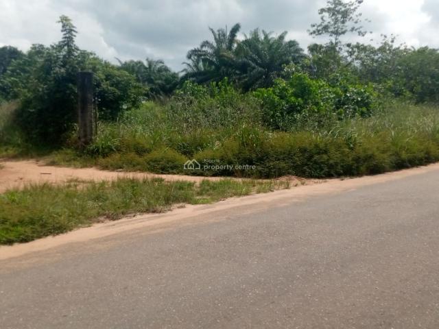 Land for sale in Imo