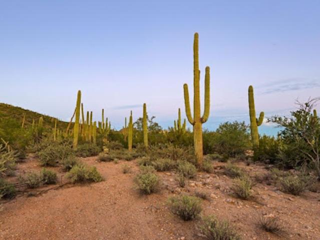 Land for sale in Marana, Pima County