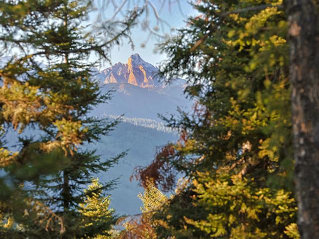 Land for sale in Wilson, Teton County