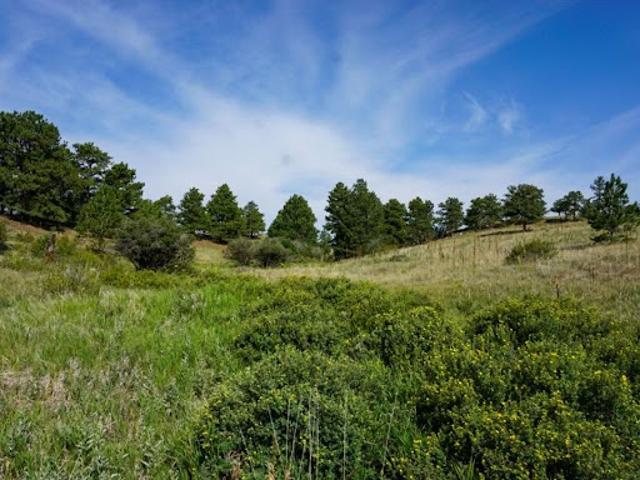 Land for sale in Colorado