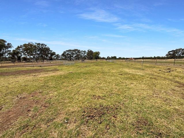 Land for sale in Leeton, Leeton Shire Council