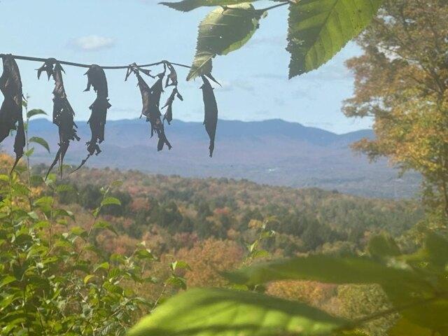 Land for sale in Wolcott, Vermont