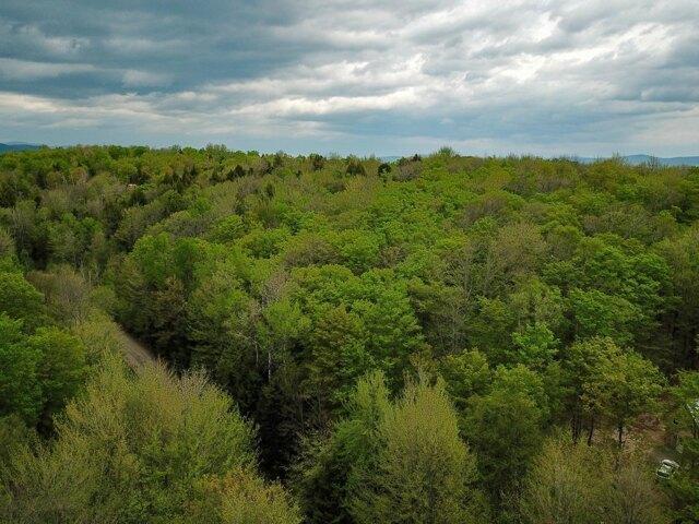 Land for sale in Wolcott, Vermont
