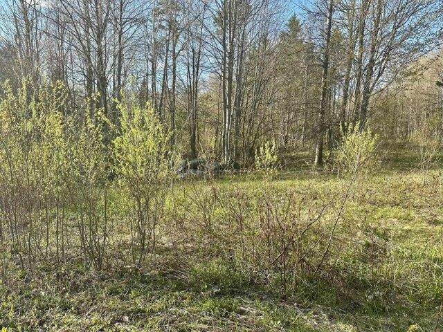 Land for sale in Wolcott, Vermont