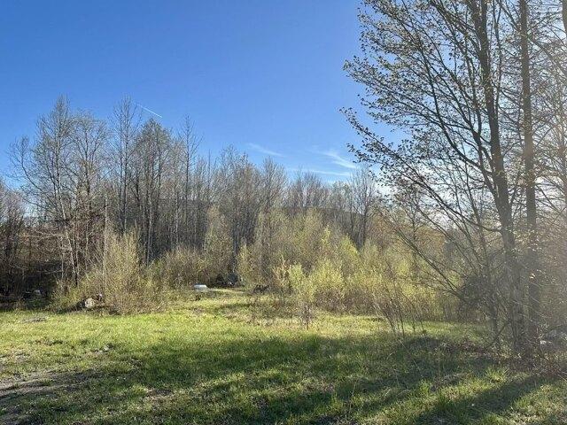 Land for sale in Wolcott, Vermont
