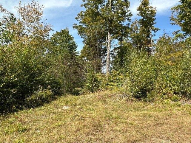 Land for sale in Wolcott, Vermont